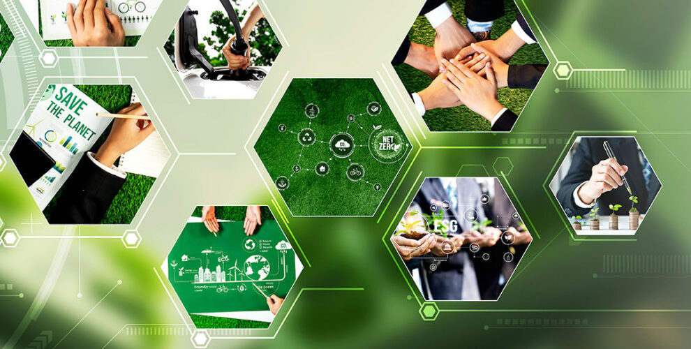 Beyond Compliance - Why HPDs and EPDs Are Critical for Green Building Certifications Feature