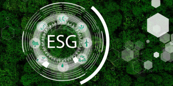 Building ESG Credibility Through Standards and Accountability Feature
