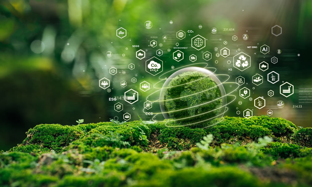 Sustainability, Standards and the Future of ESG