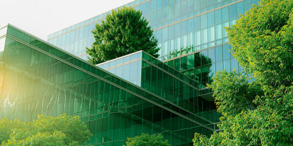 Environmental, Social and Governance Initiatives What That Means for Your Organization Feature