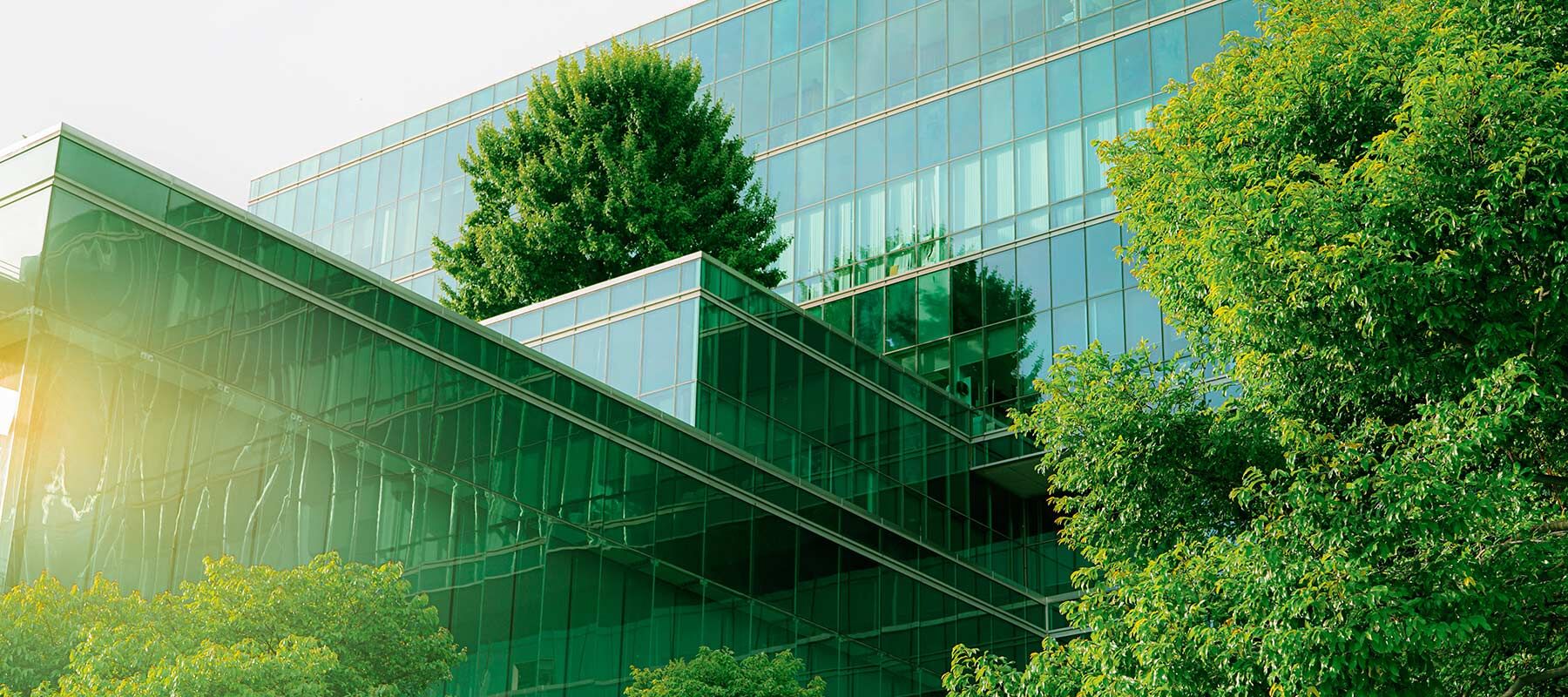 Environmental, Social and Governance Initiatives What That Means for Your Organization Header